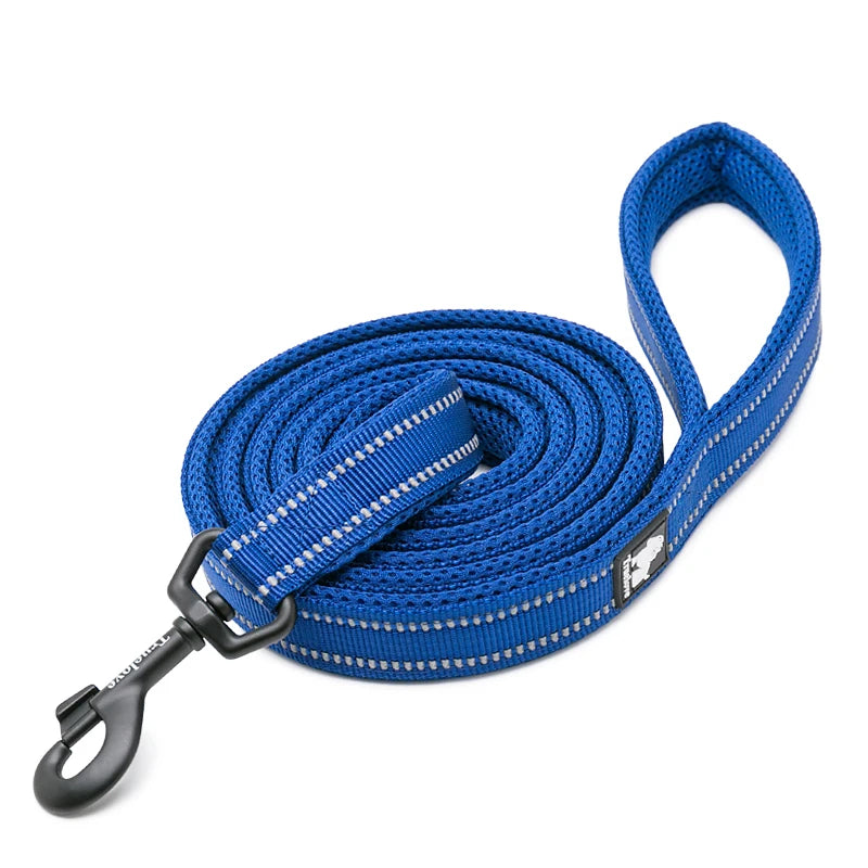 Winhyepet Padded Reflective Nylon Dog Leash for Training and Walking