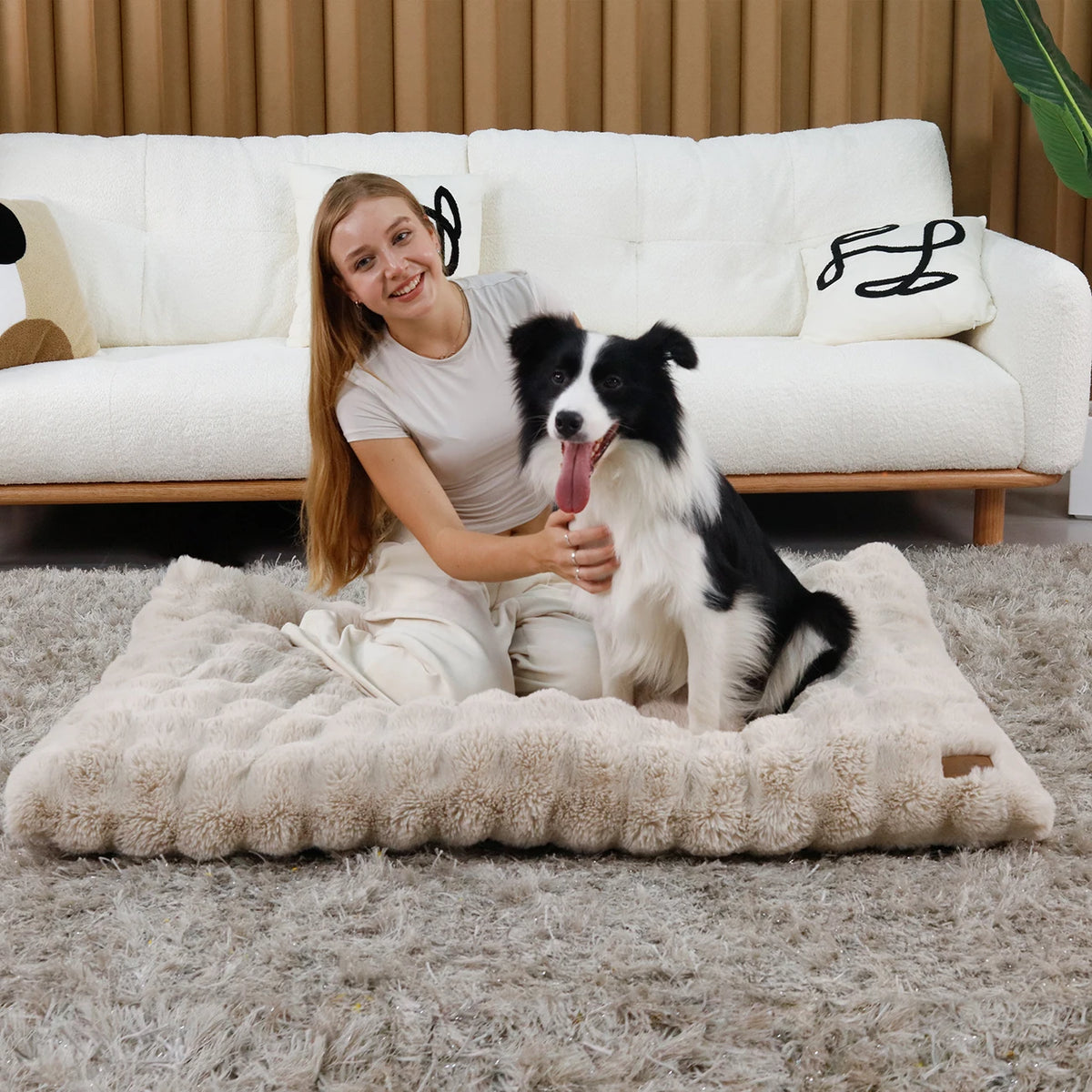 Bingopaw Plush Calming Dog And Cat Bed With Foam Base