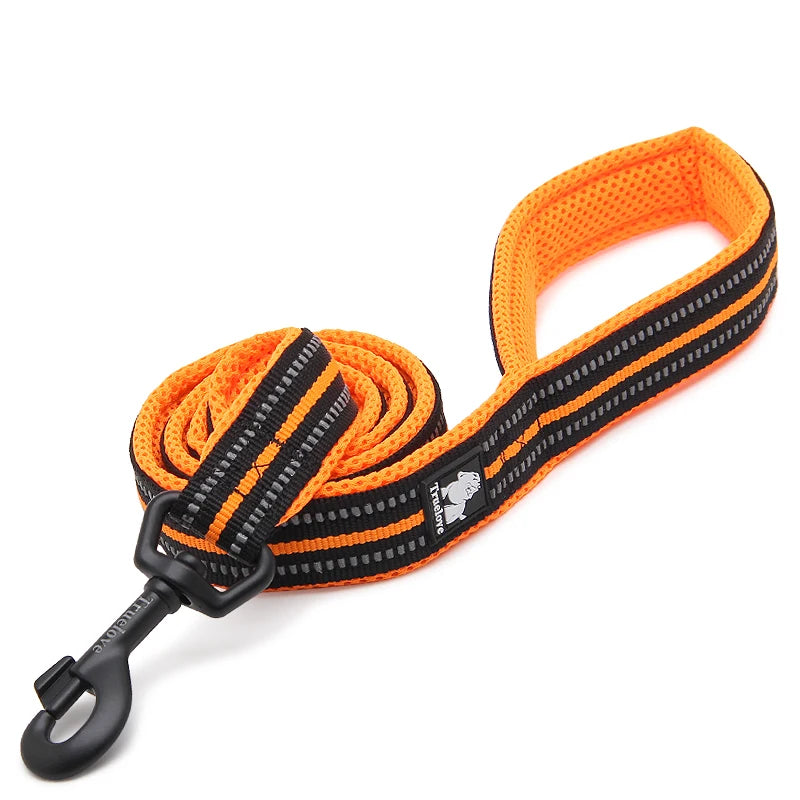 Winhyepet Padded Reflective Nylon Dog Leash for Training and Walking