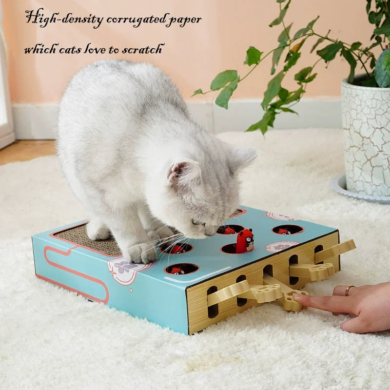 Interactive Cat Maze Toy Box With Scratcher Mouse Chase Game