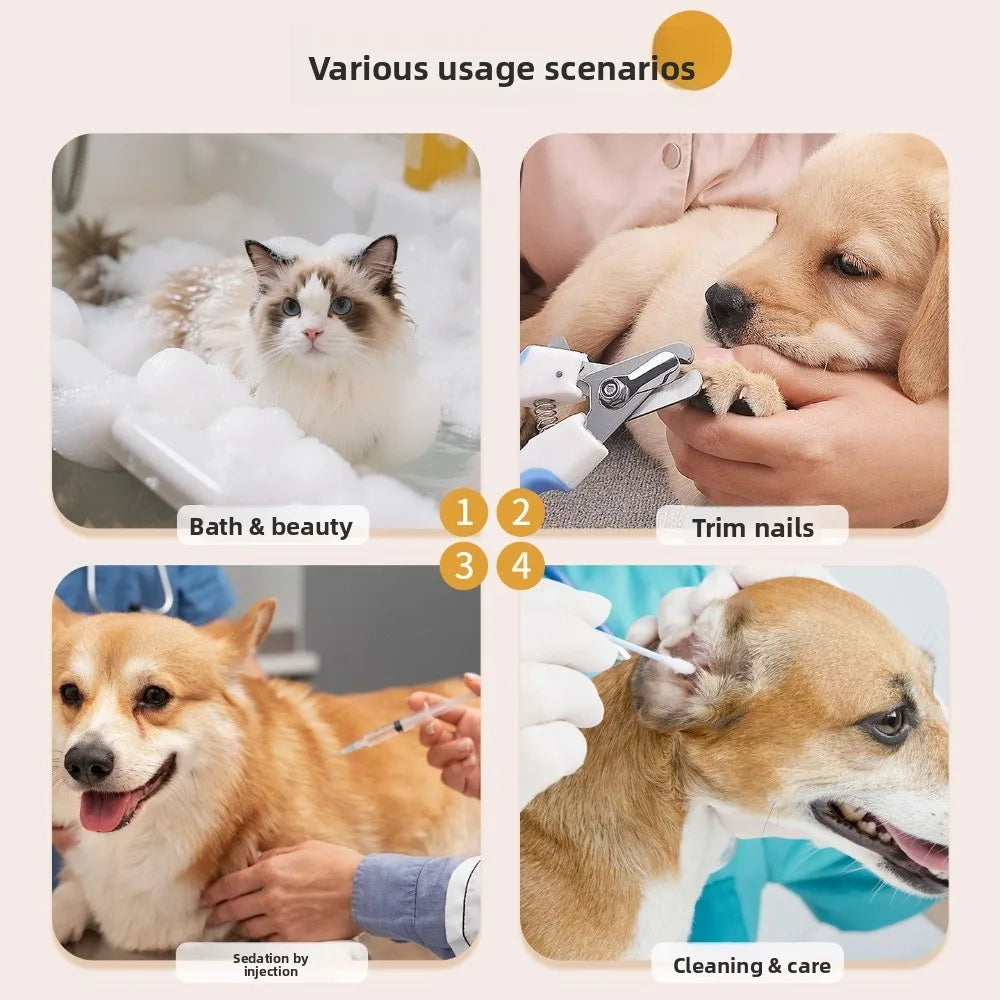 Anti-Scratch Pet Grooming Hammock Adjustable Detachable Puppy Nail Clipping Holder Sturdy Support Frame Pet Restraint Station