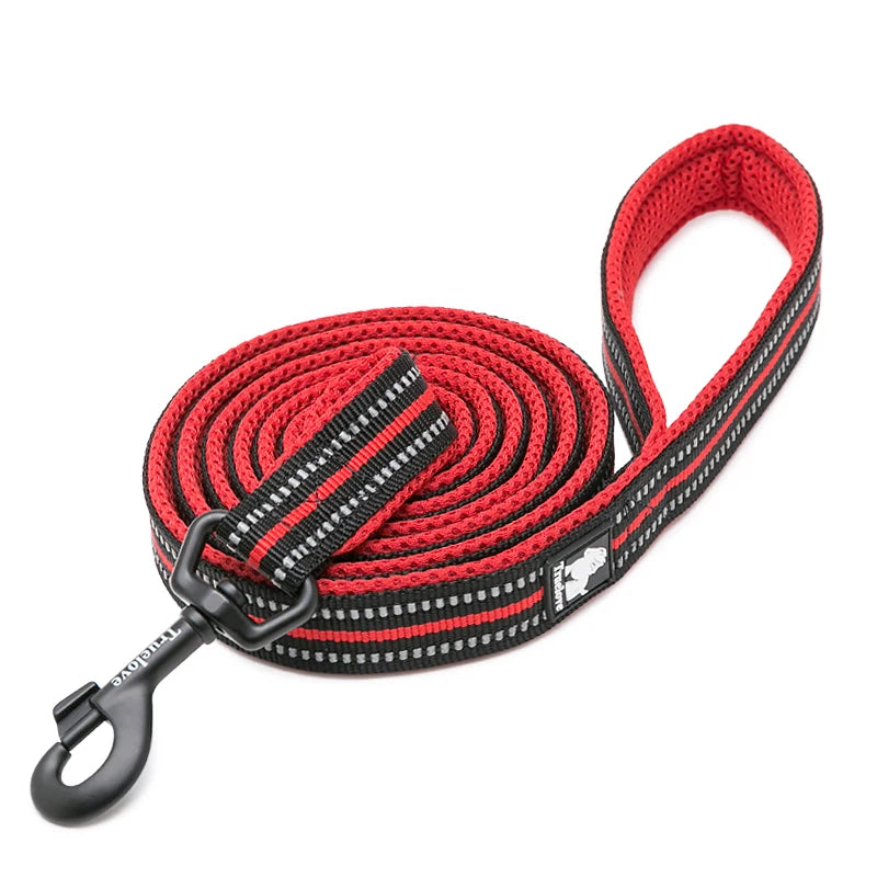 Winhyepet Padded Reflective Nylon Dog Leash for Training and Walking