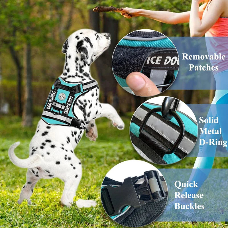 Premium Reflective Nylon Dog Harness With Collar Leash Set