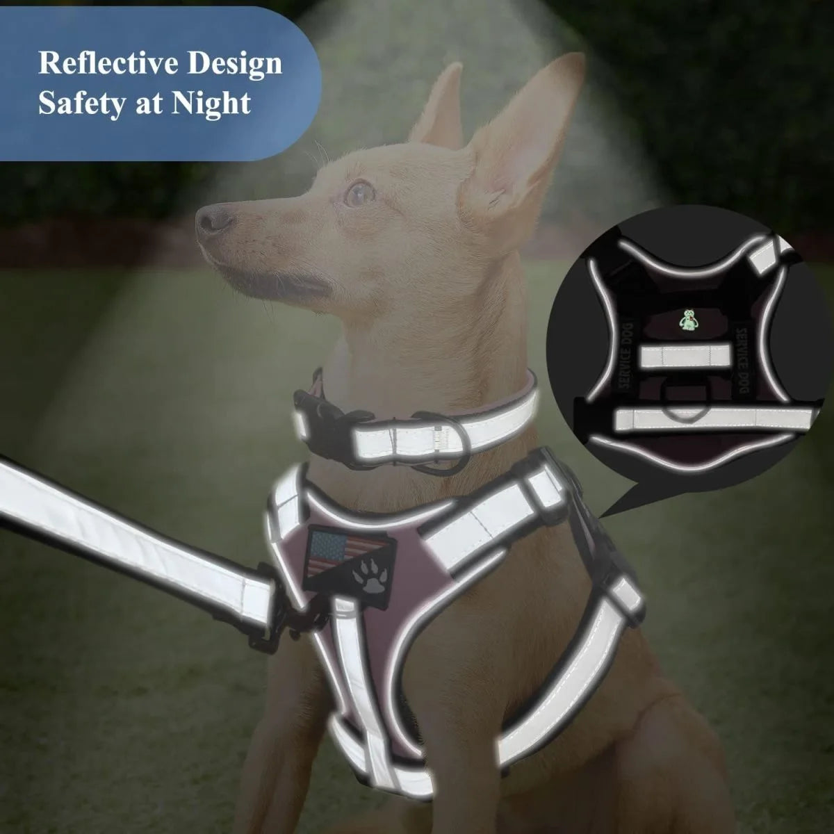 Premium Reflective Nylon Dog Harness With Collar Leash Set