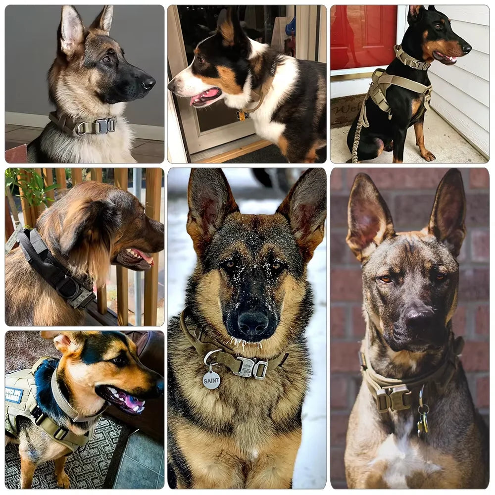 Adjustable Nylon Tactical Dog Harness And Collar Set