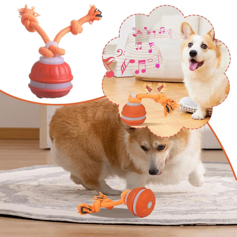 Interactive Motion Activated Dog Ball Toy USB Rechargeable