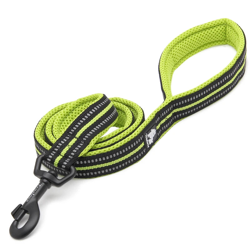 Winhyepet Padded Reflective Nylon Dog Leash for Training and Walking