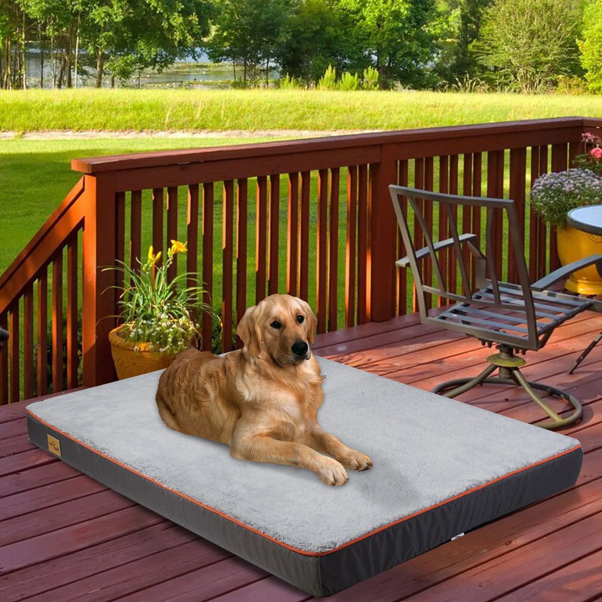 BINGOPAW Orthopedic Padded Dog Bed With Washable Cover Foam Cushion