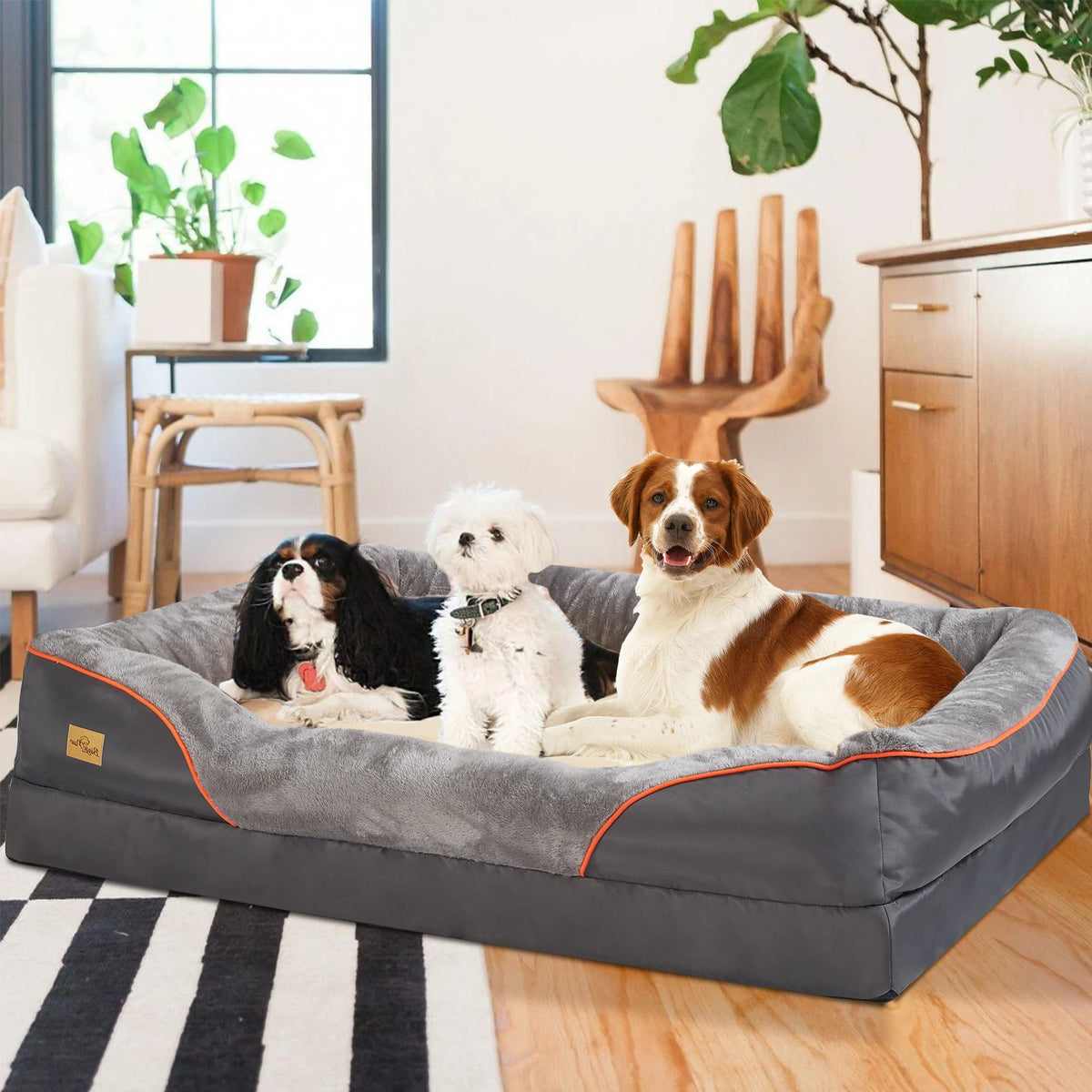 Bingopaw Orthopedic Dog Bed With Cotton Bolster And Removable Cover