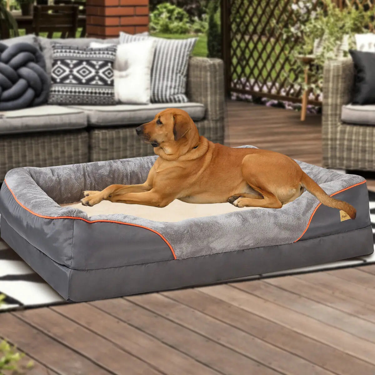 Bingopaw Orthopedic Dog Bed With Cotton Bolster And Removable Cover