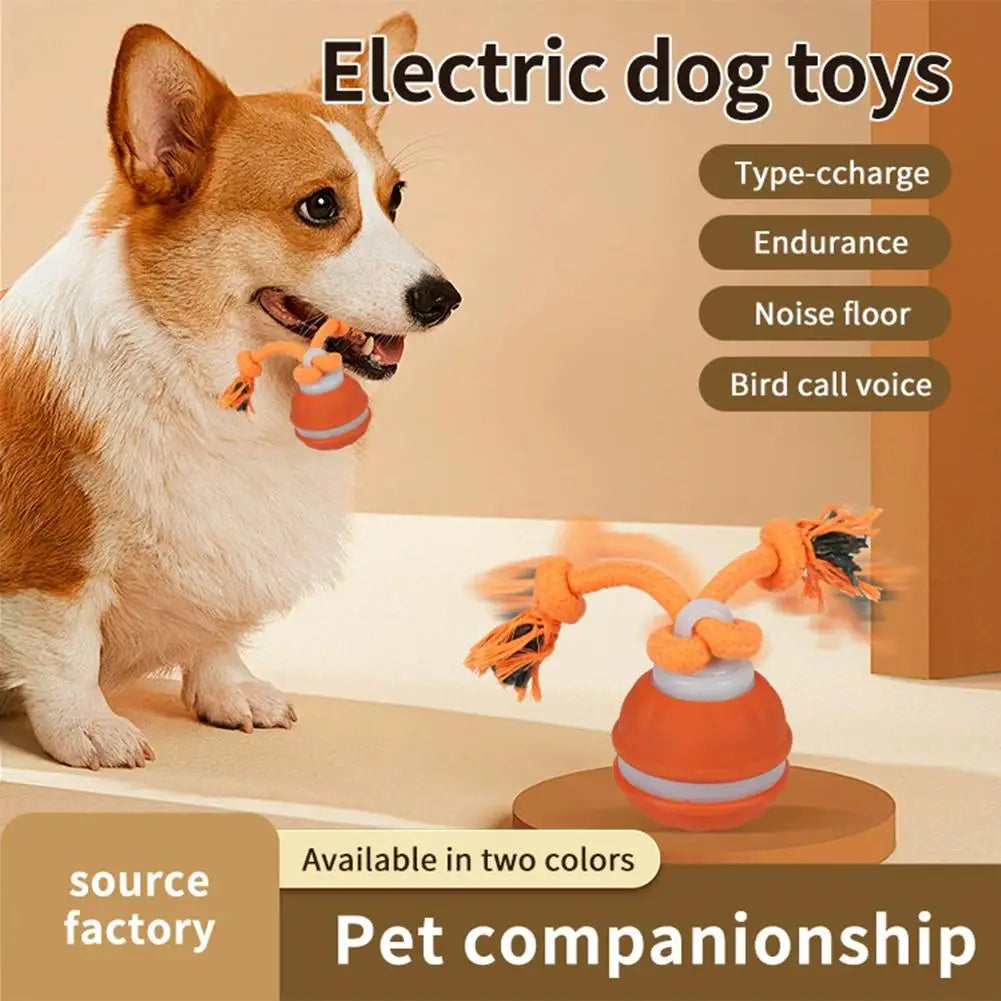 Interactive Motion Activated Dog Ball Toy USB Rechargeable