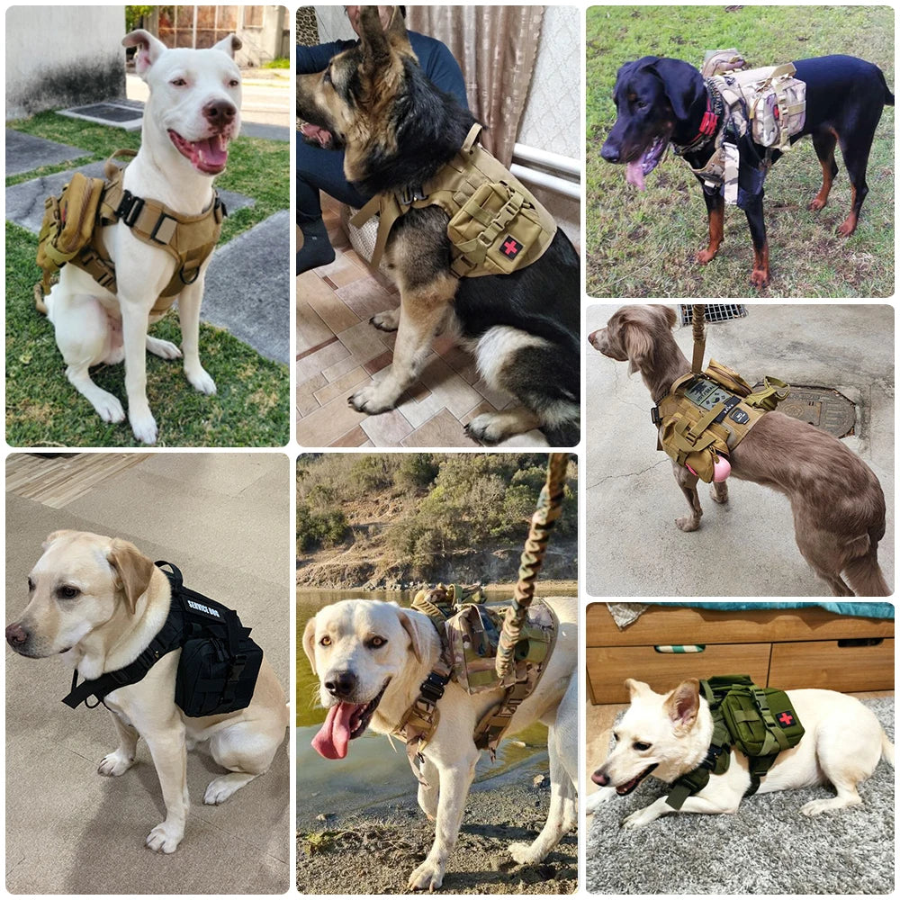 Military Tactical Dog Harness Leash Set For Training