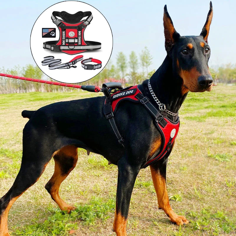 Premium Reflective Nylon Dog Harness With Collar Leash Set