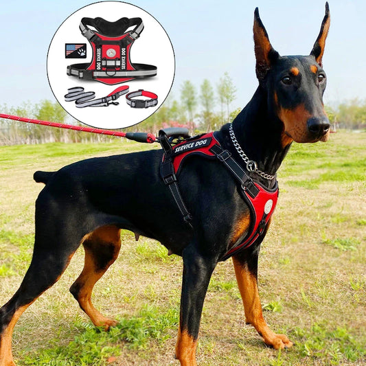 Premium Reflective Nylon Dog Harness With Collar Leash Set