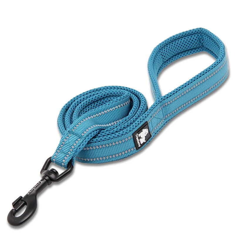 Winhyepet Padded Reflective Nylon Dog Leash for Training and Walking