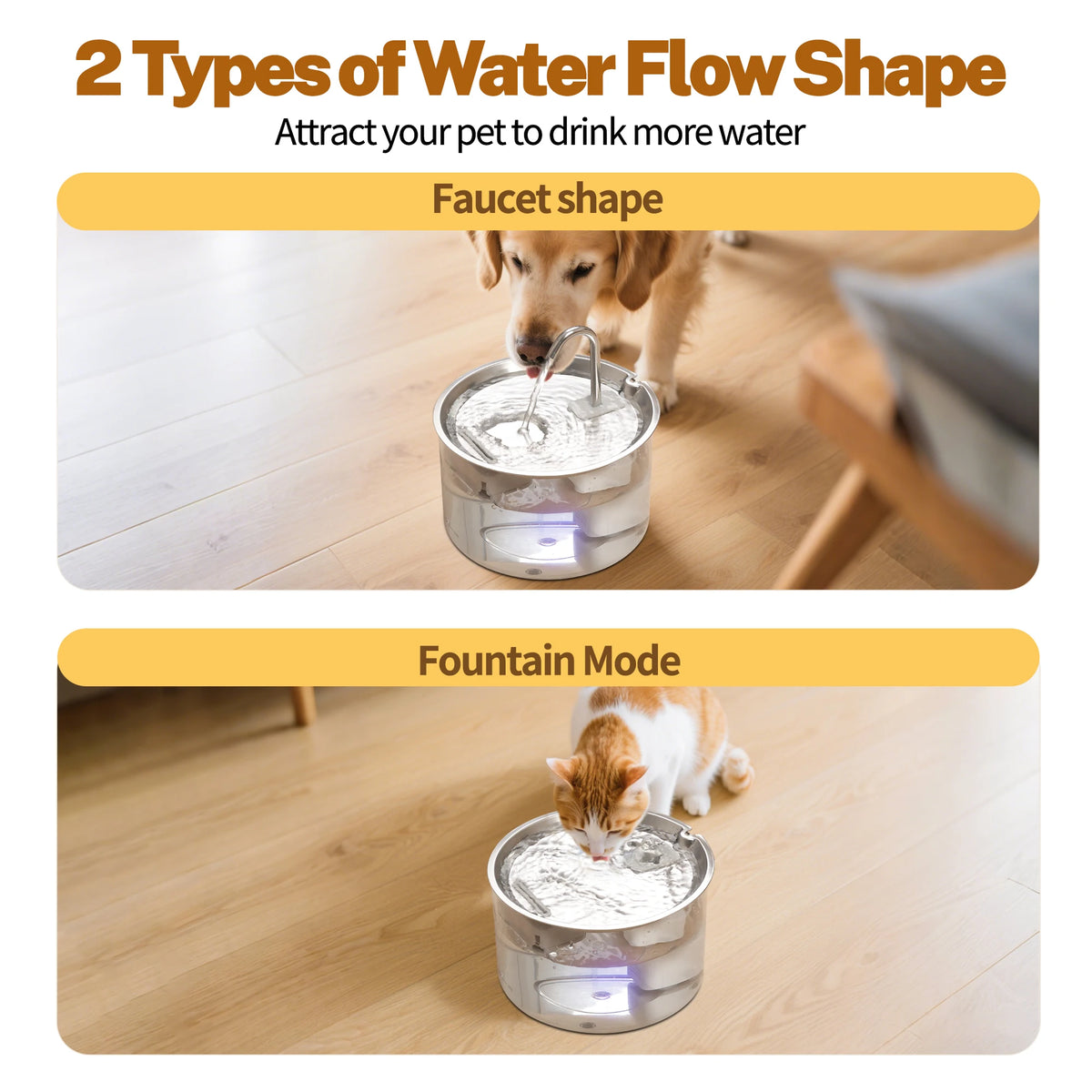 Rechargeable Ultra Quiet Pet Water Fountain With Filter System