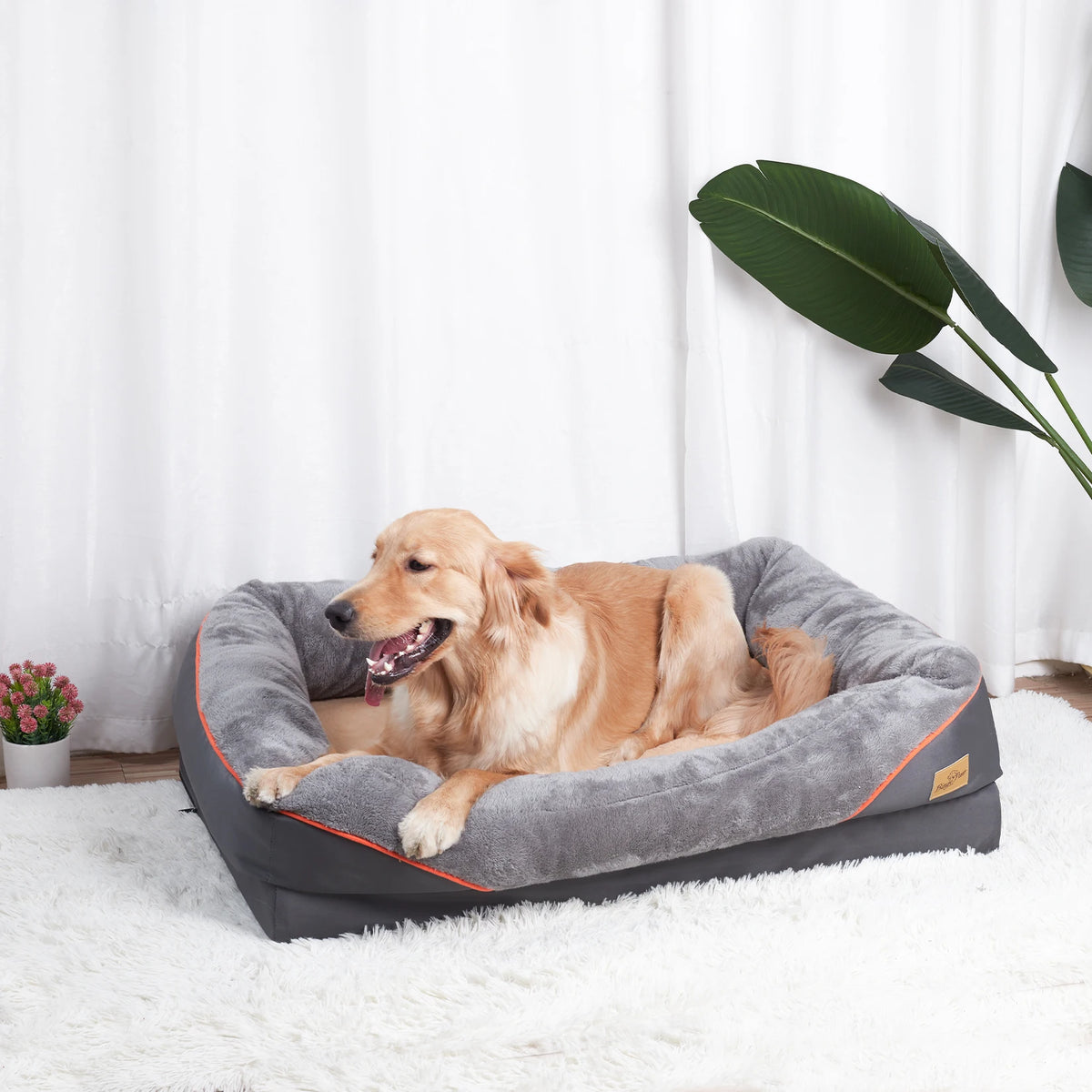 Bingopaw Waterproof Dog Bed With Removable Fleece Cover