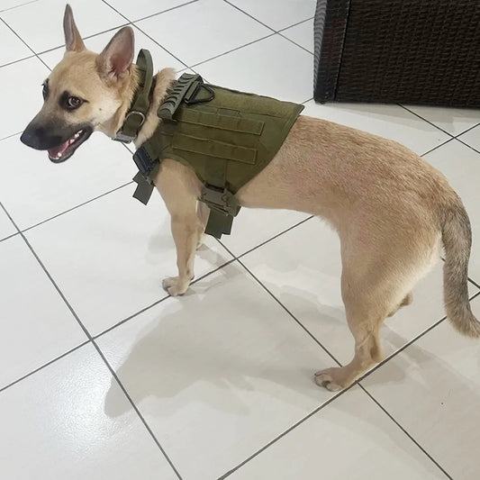 Adjustable Nylon Tactical Dog Harness And Collar Set
