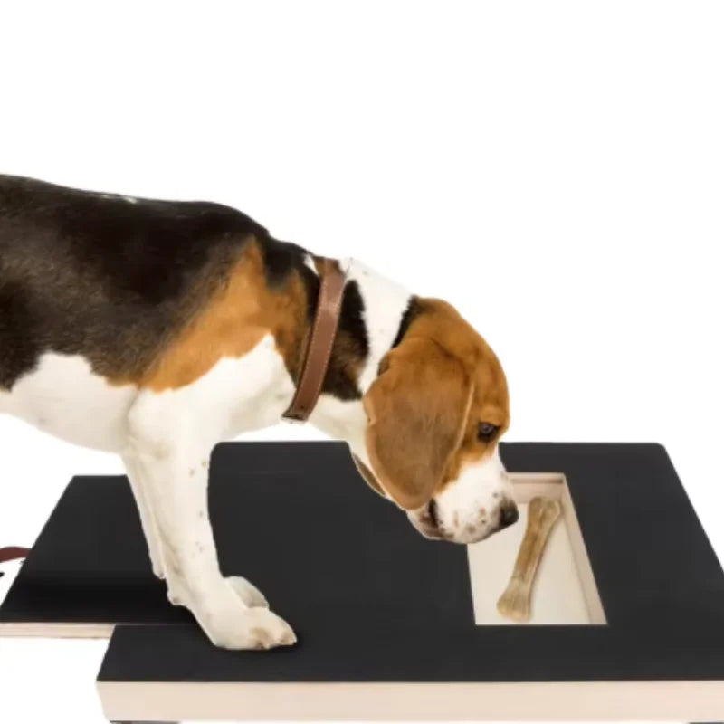 Wooden Dog Scratching Board With Treat Box Nail Trim Pad