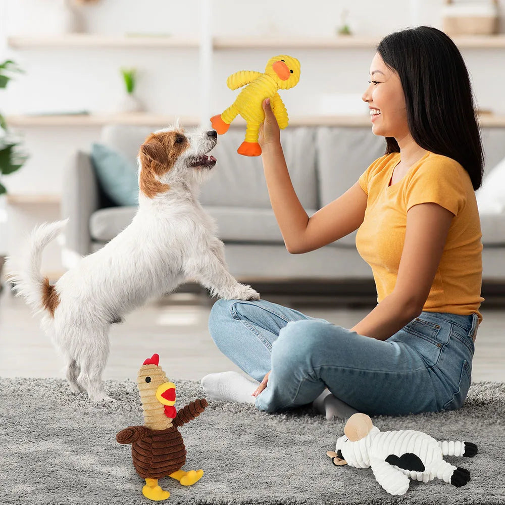 Plush Squeaky Dog Toys Assortment Value Pack For Pets