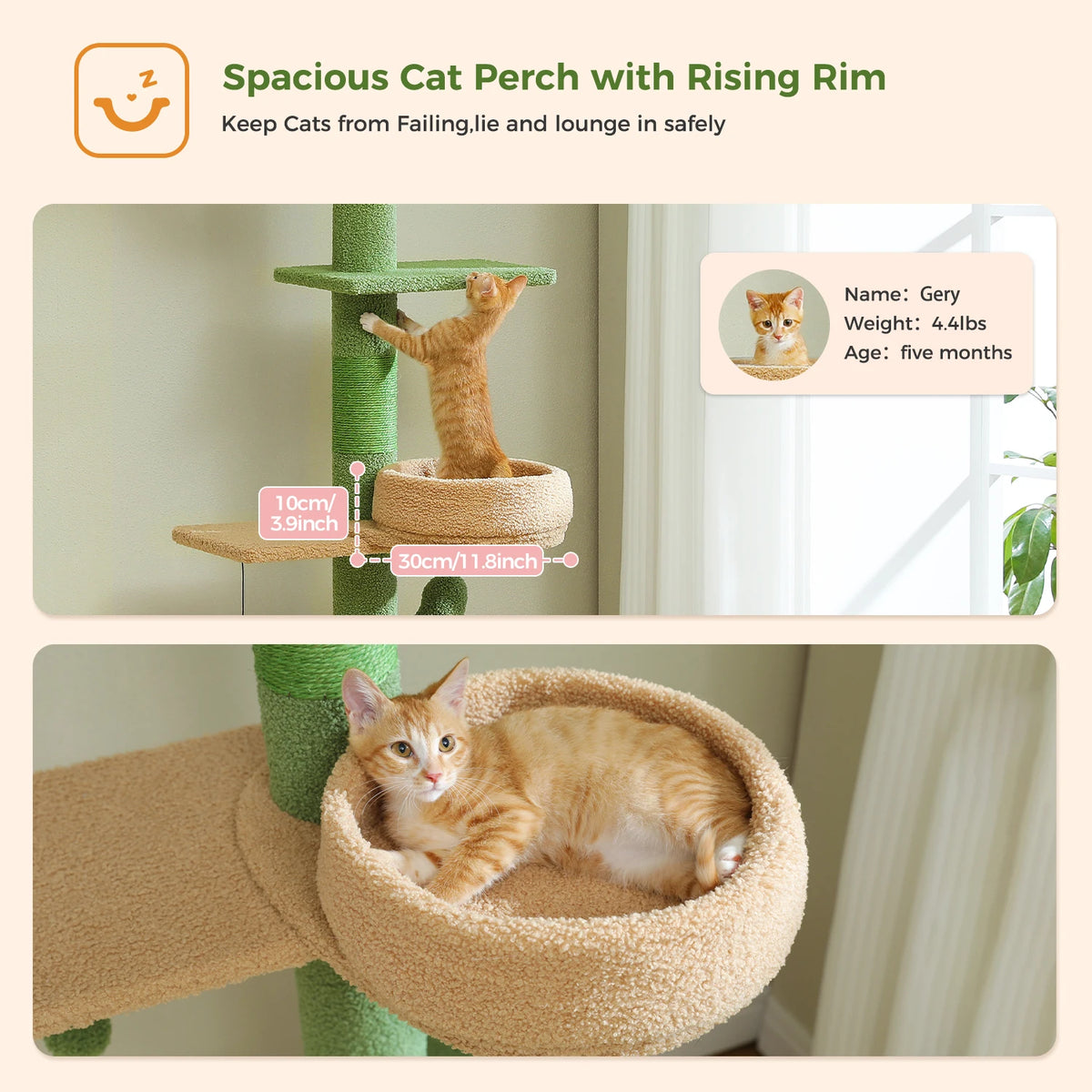 Pequlti Adjustable Height Cat Tower With Scratching Post And Hammock