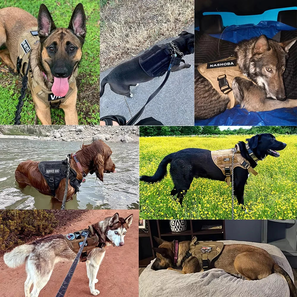 Adjustable Nylon Tactical Dog Harness Collar And Leash Set