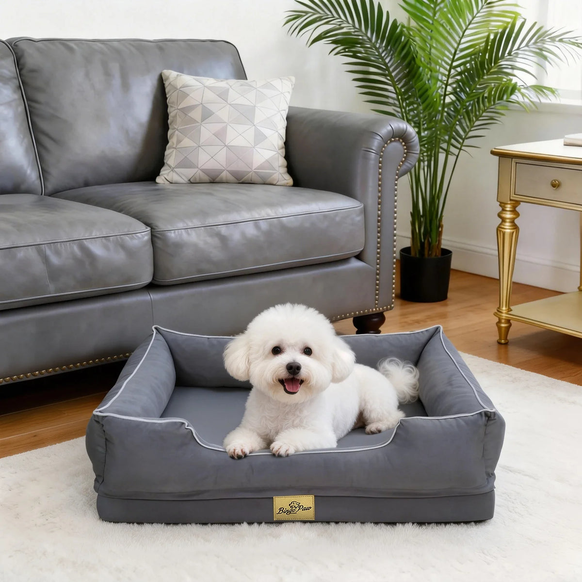 Bingopaw Orthopedic Dog Bed With Removable Washable Cover