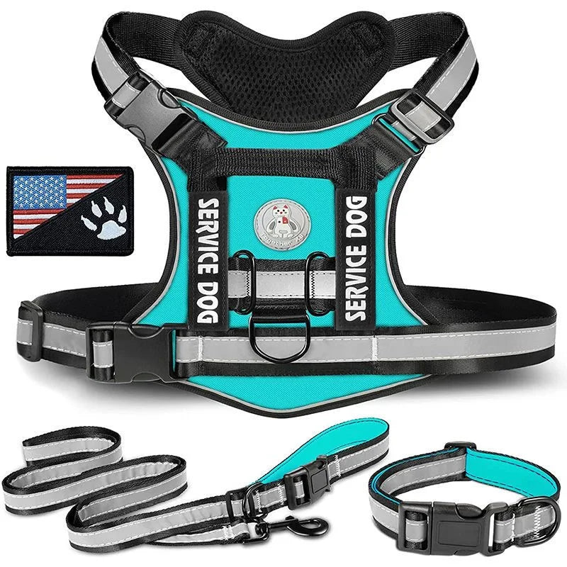 Premium Reflective Nylon Dog Harness With Collar Leash Set