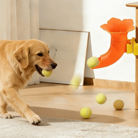 Automatic Dog Tennis Ball Launcher For Interactive Play