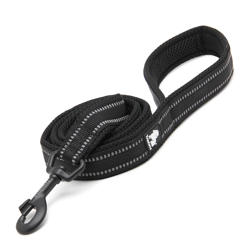 Winhyepet Padded Reflective Nylon Dog Leash for Training and Walking