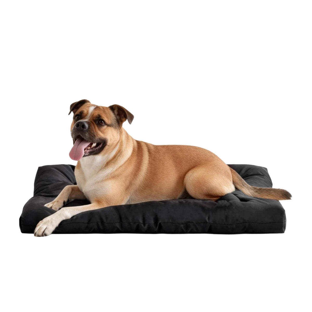 Indestructible Chew Proof Dog Bed And Waterproof Kennel Crate Pad