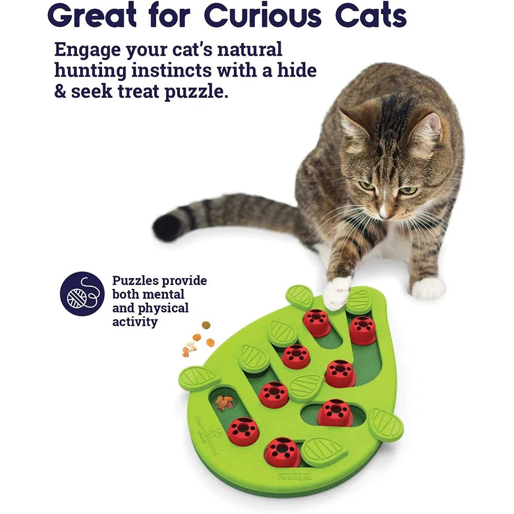 Interactive Cat Puzzle Toy Slow Feeder And Scratch Board for Indoor Cats